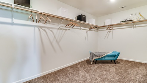Large walk-in closet