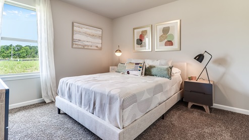 Guest bedroom with carpet