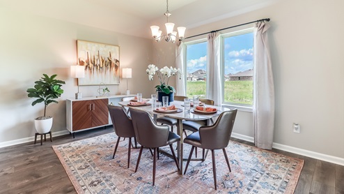 New construction homes in South Louisiana.