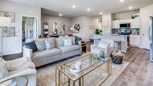 Fully staged beautiful and spacious model home