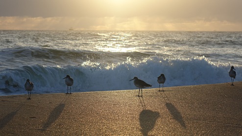 Freedom at Sawmill Branch in Palm Coast, Florida