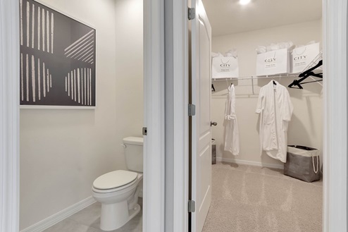Private lavatory room with walk-in closet.