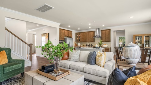 Norman Model Living Room